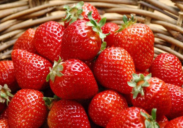 Fragola - Proprietà e Benefici