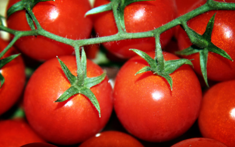 Proprietà e Benefici del Pomodoro